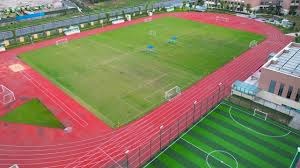 日本女排世锦赛不敌欧洲队，无缘冠军