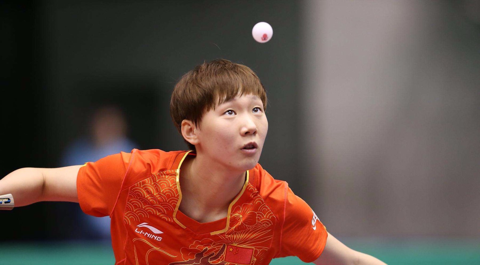 灰熊多次缩 灰熊多次缩